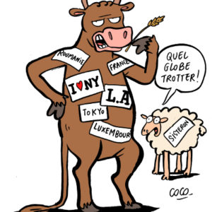 ravi_coco_abattoir.jpg