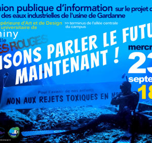 faisons_parler_le_futur-maintenant-reunion_publique_23_sept_2015_luminy_29x21_72dpi.jpg