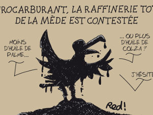 red_ravi_marsactu_total_mede400.jpg